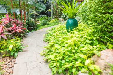 Taş yol yol yürümek için