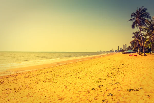 Sahildeki palmiye ağaçları