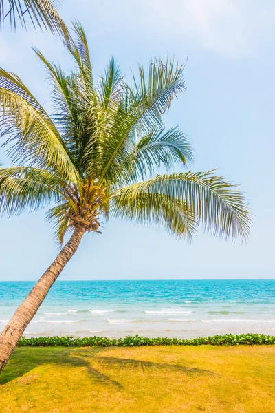 椰子棕榈树上，地处热带的海滩和大海 — 图库照片