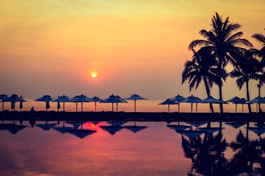 Ve Yüzme Havuzu palmiye ağaçlarının Silhouettes