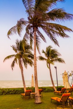 Boş şemsiye ve plaj sandalye