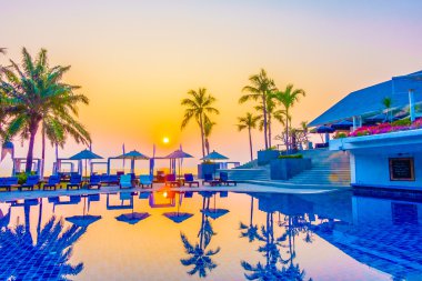 Günbatımı zaman palmiye ağaçlarının Silhouettes