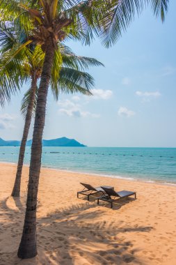 Güzel plaj ve palmiye ağaçları ile