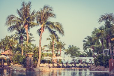 Palmiye ağaçları ile yüzme havuzu manzarası