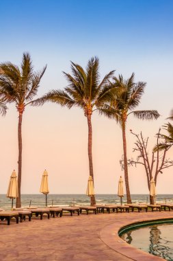 Şemsiyeleri ve sandalyeler Yüzme Havuzu etrafında