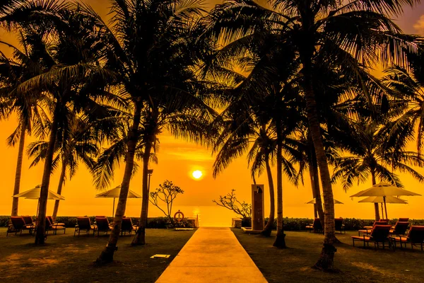 Silhouettes of palm trees on swimming pool — Stock Photo, Image