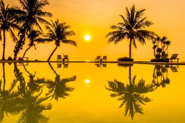 Hindistan cevizi hurma ağaçlarının Silhouettes