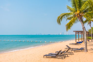 Güzel plaj ve palmiye ağaçları ile