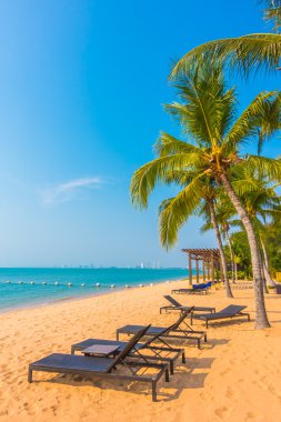 Güzel plaj ve palmiye ağaçları ile