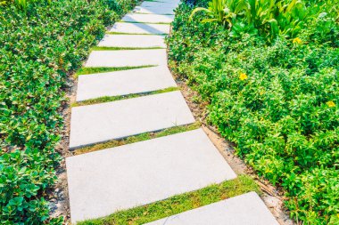 Yürüyüş yolu yol