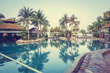 Yüzme Havuzu Peyzaj