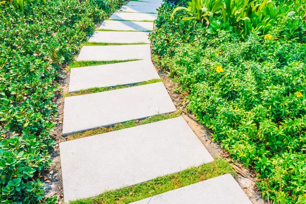 Path way for walk — Stock Photo, Image