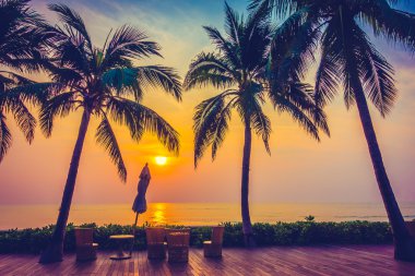 Ve Yüzme Havuzu palmiye ağaçlarının Silhouettes