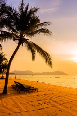 Güzel bir plaj ve deniz ile palmiye ağacı