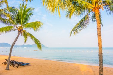 Güzel plaj ve palmiye ağaçları ile