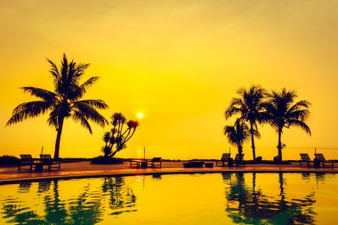 Hindistan cevizi hurma ağaçlarının Silhouettes