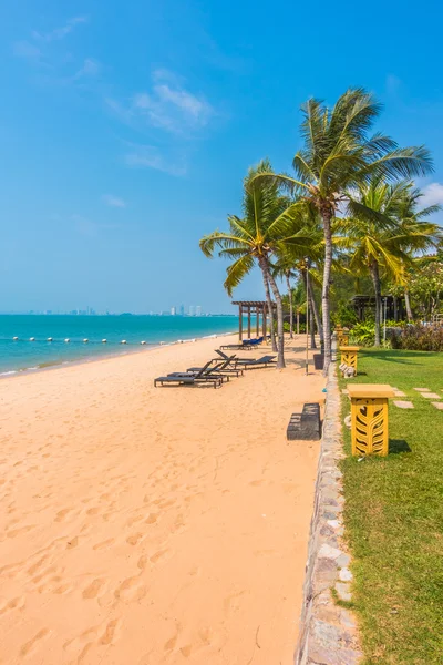 Güzel plaj ve palmiye ağaçları ile