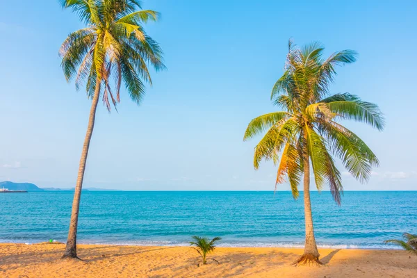 Hindistan cevizi ağaçları tropikal plaj — Stok fotoğraf