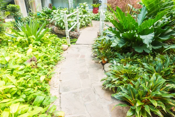 Stones path way for walk — Stock Photo, Image