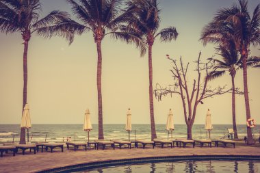 Şemsiyeleri ve sandalyeler Yüzme Havuzu etrafında