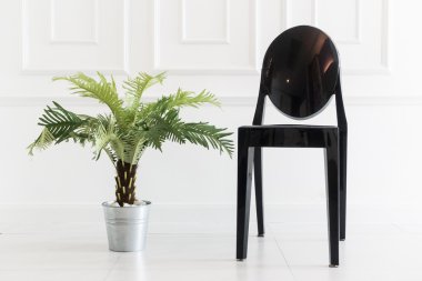 Vazo bitki ile boş sandalye