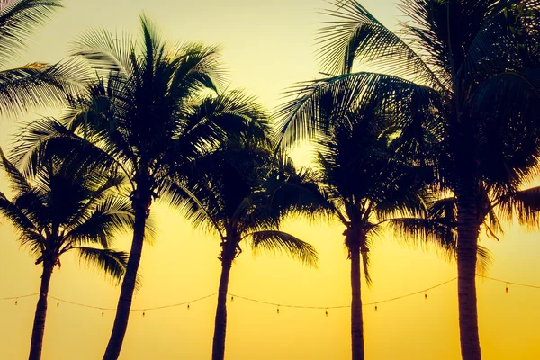 Silhouettes of palm trees with sunset — Stock Photo, Image