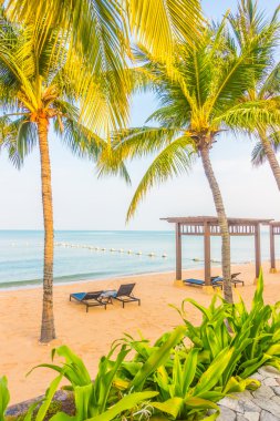 Güzel plaj ve palmiye ağaçları ile