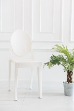 Vazo bitki ile boş sandalye