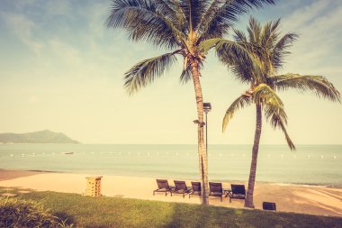 Güzel plaj ve palmiye ağaçları ile