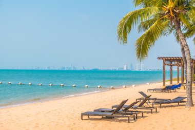 Güzel plaj ve palmiye ağaçları ile