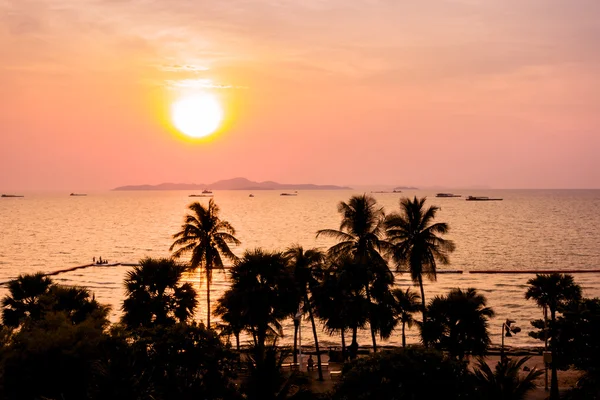 ve palmiye ağaçlarının Silhouettes