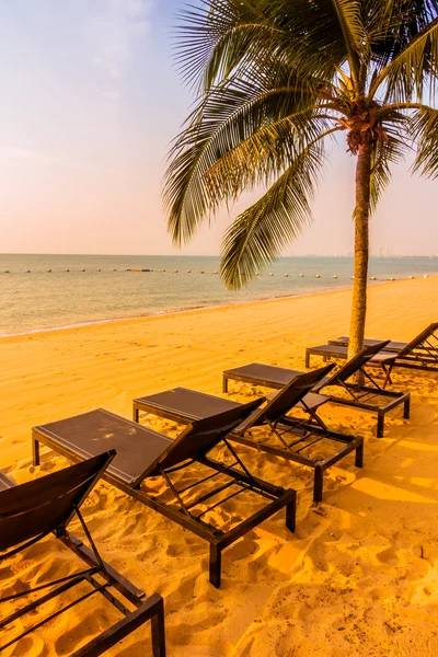 Güzel bir plaj ve deniz ile palmiye ağacı