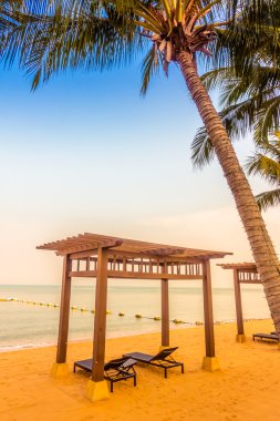 Güzel plaj ve palmiye ağaçları ile