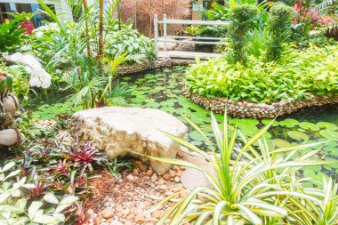 Taş yol yol yürümek için