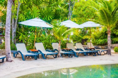 lüks Yüzme Havuzu Peyzaj