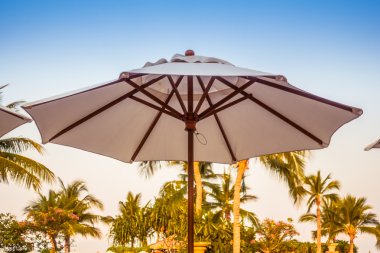 Yüzme Havuzu Peyzaj