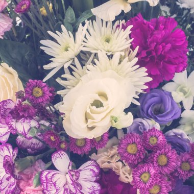 güzel çiçek arka plan