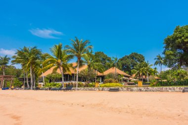 Güzel plaj ve palmiye ağaçları ile