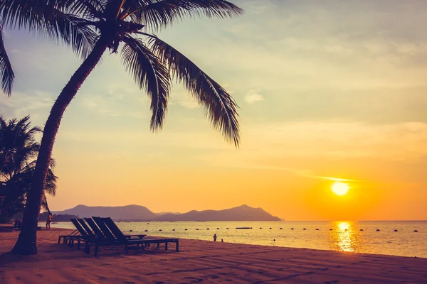 Beautiful beach and sea with palm tree — Stock Photo, Image