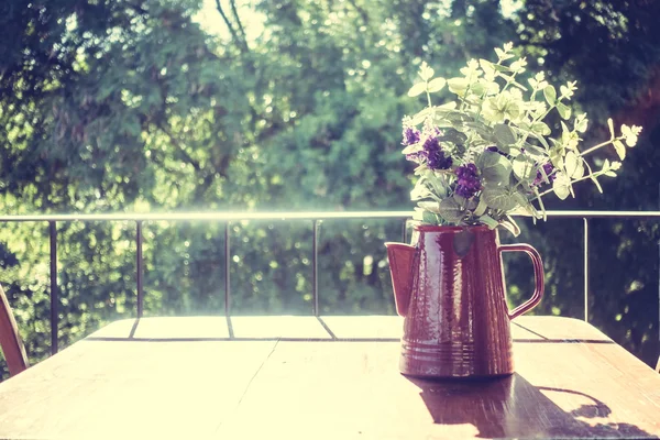 Vaso decorazione vegetale con vista all'aperto — Foto Stock