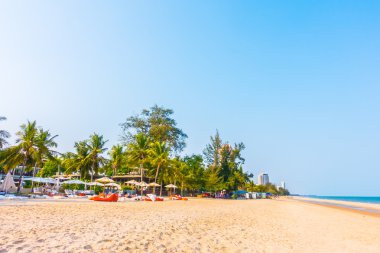 Sahilde güzel palmiye ağacı