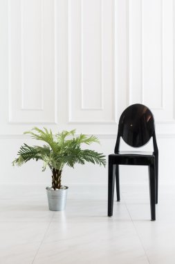 Vazo bitki ile boş sandalye