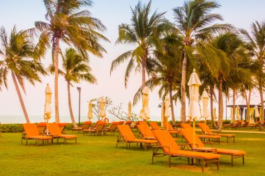 Boş şemsiye ve plaj sandalye