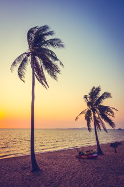 Sahildeki palmiye ağaçları