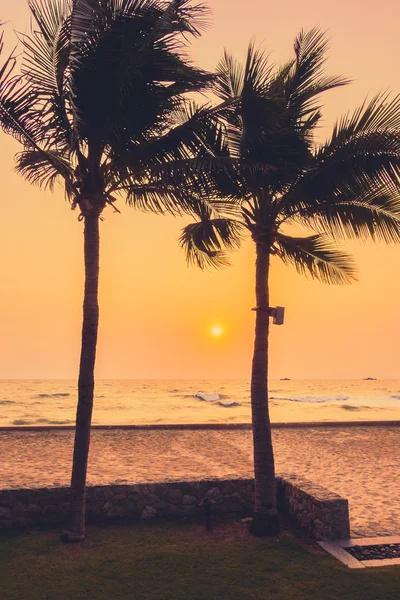 Siluetas de palmeras con puesta de sol —  Fotos de Stock