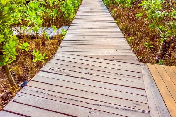 Wooden path for walking — Stock Photo, Image