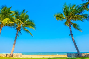 güzel lüks Yüzme Havuzu