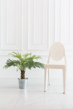 Vazo bitki ile boş sandalye