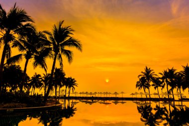 Ve Yüzme Havuzu palmiye ağaçlarının Silhouettes