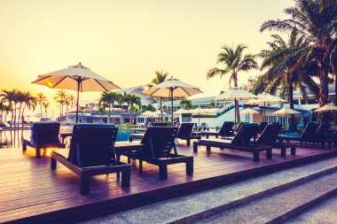 Günbatımı zaman palmiye ağaçlarının Silhouettes